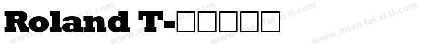 Roland T字体转换